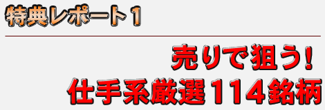 �y���T���|�[�g�P�z �u����ő_���I�d��n���I�P�P�S�����v